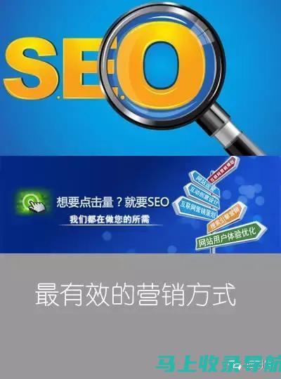 SEO1网站查询手册：全方位解读查询结果与优化方向